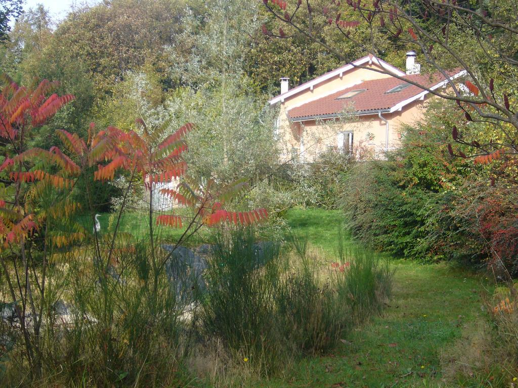 Bed and Breakfast Le Jardin Ombrage Saint-Paul-d'Izeaux Номер фото