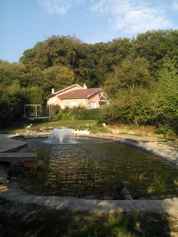 Bed and Breakfast Le Jardin Ombrage Saint-Paul-d'Izeaux Экстерьер фото